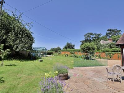 Picture 20